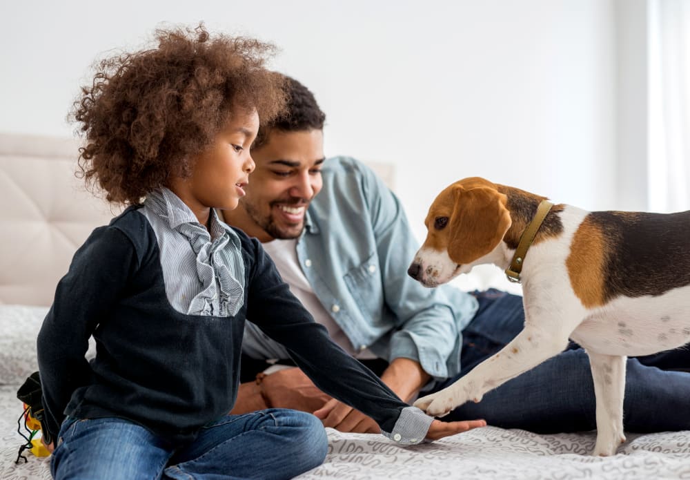 Welcome to Barrhaven Veterinary Hospital